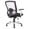 Mesh, Basic Task Chair with Chrome Base and Arms2