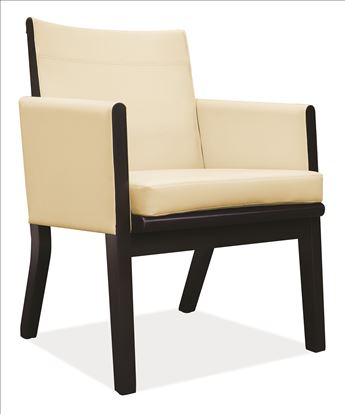 Guest Chair with Espresso Wood Frame1