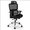 All Mesh High Back Chair with Headrest and Aluminum Base1