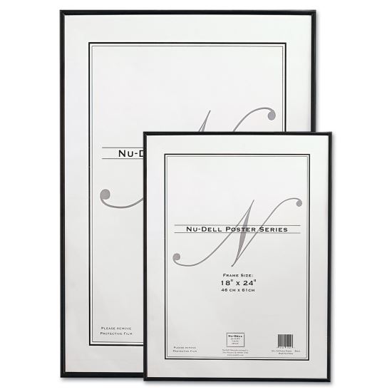 NuDell™ Metal Poster Frame1