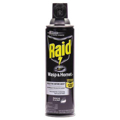 Raid® Wasp & Hornet Killer1