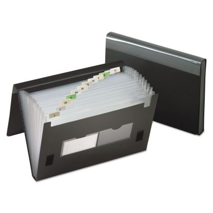 Pendaflex® 13-Pocket File1