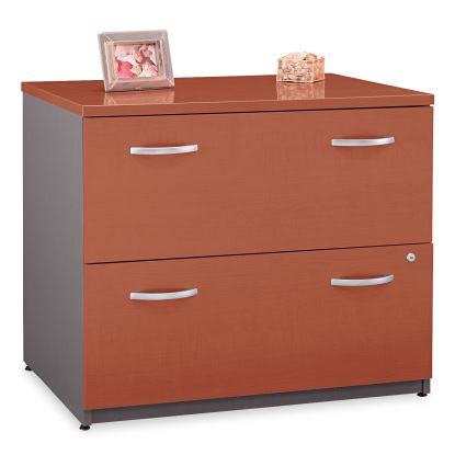 Bush® Series C Assembled Lateral File1