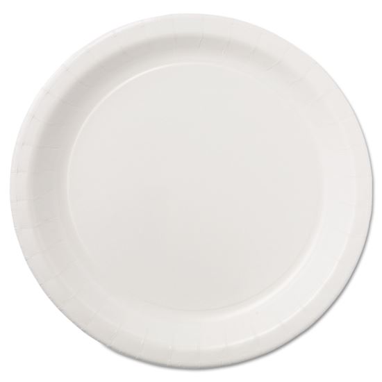 Hoffmaster® Coated Paper Dinnerware1