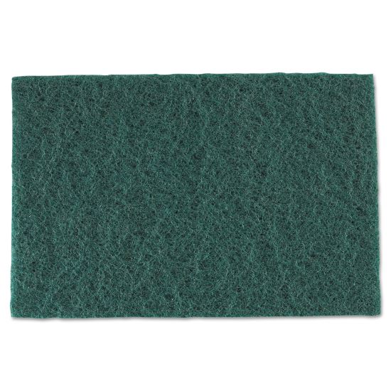 AmerCareRoyal® Medium-Duty Scouring Pad1