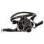 North Safety® 7700 Series Half Mask Respirators1