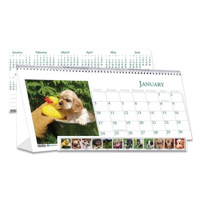 House of Doolittle™ Earthscapes™ 100% Recycled Puppy Desk Tent Monthly Calendar with Photos1