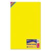 Royal Brites Premium Coated Poster Board2