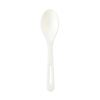 World Centric® TPLA Compostable Cutlery2