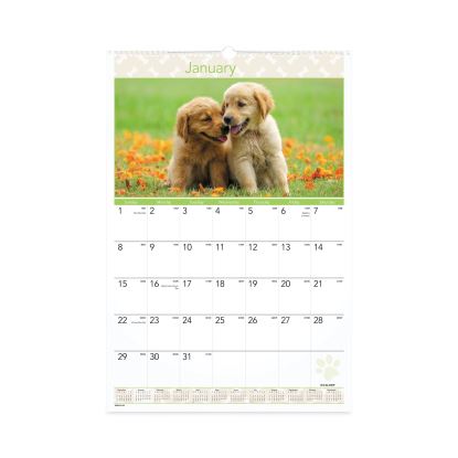 Puppies Monthly Wall Calendar, Puppies Photography, 15.5 x 22.75, White/Multicolor Sheets, 12-Month (Jan to Dec): 20231