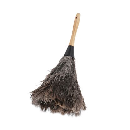 Professional Ostrich Feather Duster, 4" Handle1