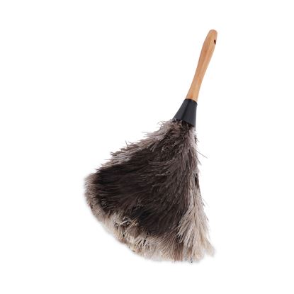Professional Ostrich Feather Duster, 7" Handle1