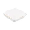 Bagasse Food Containers, Hinged-Lid, 3-Compartment 9 x 9 x 3.19, White, 100/Sleeve, 2 Sleeves/Carton2