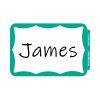 Self-Adhesive Name Badges, 3.5 x 2.25, Green, 100/Box1