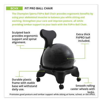 FitPro Ball Chair, Supports Up to 200 lb, Gray1