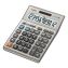 DM1200BM Desktop Calculator, 12-Digit LCD, Silver1