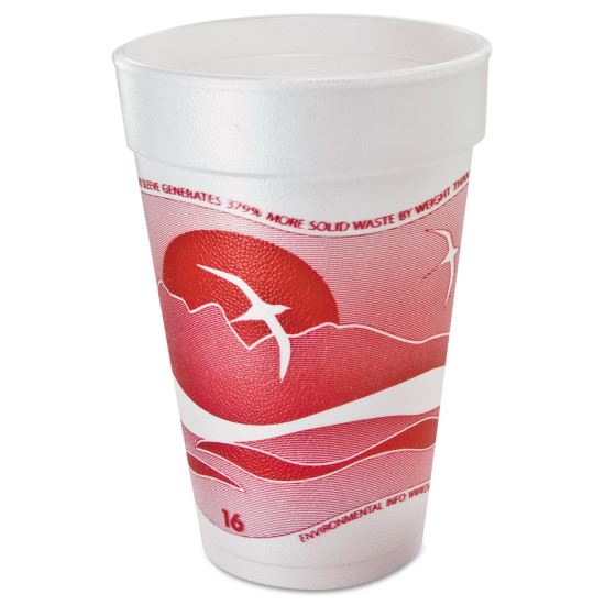 Horizon Hot/Cold Foam Drinking Cups, 16 oz, Printed, Cranberry/White, 25/Bag, 40 Bags/Carton1