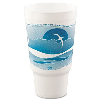 Horizon Hot/Cold Foam Drinking Cups, 32 oz, Teal/White, 16/Bag, 25 Bags/Carton1