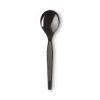 Plastic Cutlery, Heavyweight Soup Spoons, 5 3/4", Black, 1,000/Carton2