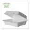 Vanguard Renewable and Compostable Sugarcane Clamshells, 1-Compartment, 9 x 6 x 3, White, 250/Carton1