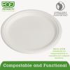 Renewable and Compostable Sugarcane Plates, 10" dia, Natural White, 500/Carton2