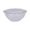 Renewable and Compostable Salad Bowls with Lids, 24 oz, Clear, 50/Pack, 3 Packs/Carton1