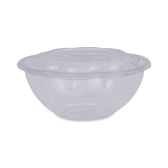 Renewable and Compostable Salad Bowls with Lids, 24 oz, Clear, 50/Pack, 3 Packs/Carton1