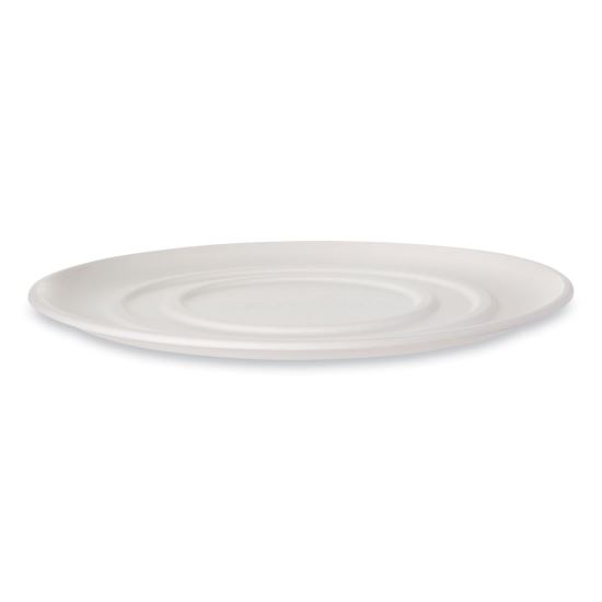 WorldView Sugarcane Pizza Trays, 16 x 16 x 02, White, 50/Carton1