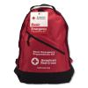 Bulk ANSI 2015 Compliant First Aid Kit, 211 Pieces, Plastic Case2