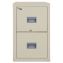Patriot by FireKing Insulated Fire File, 1-Hour Fire Protection, 2 Legal/Letter File Drawers, Parchment, 17.75 x 25 x 27.751