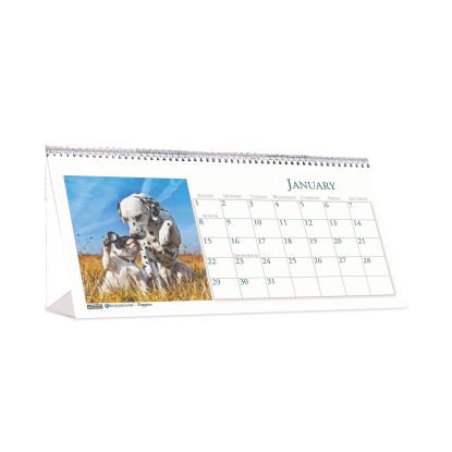 Earthscapes Recycled Desk Tent Monthly Calendar, Puppies Photography, 8.5 x 4.5, White/Multicolor Sheets, 20221