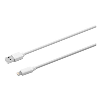 USB Lightning Cable, 10 ft, White1