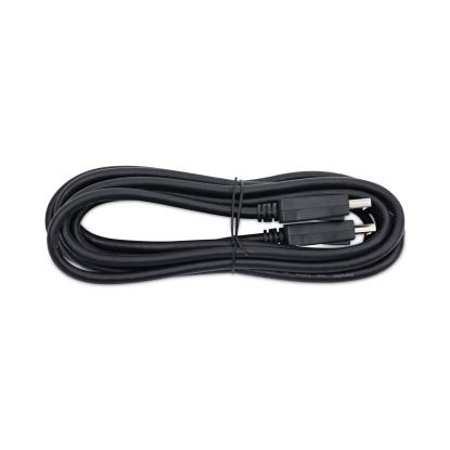 DisplayPort Cable, 10 ft, Black1