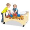 Sensory Table, 37w x 23d x 20h, Birch1