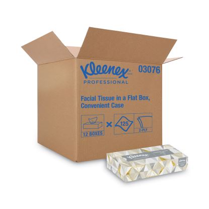 White Facial Tissue for Business, 2-Ply, 125 Sheets/Box, 12 Boxes/Carton1