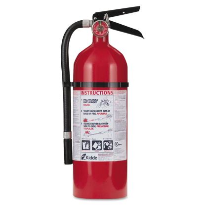Pro 210 Fire Extinguisher, 4lb, 2-A, 10-B:C1