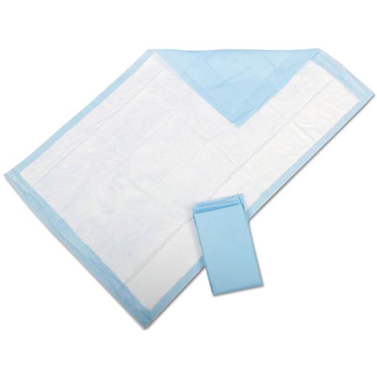 Protection Plus Disposable Underpads, 23" x 36", Blue, 25/Bag1