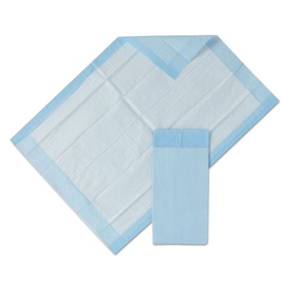 Protection Plus Disposable Underpads, 23" x 36", Blue, 25/Bag, 6 Bag/Carton1