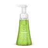 Foaming Hand Wash, Green Tea and Aloe, 10 oz Pump Bottle1