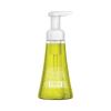 Foaming Hand Wash, Lemon Mint, 10 oz Pump Bottle2