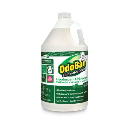Concentrated Odor Eliminator, Eucalyptus, 1 gal Bottle, 4/Carton1