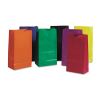 Rainbow Bags, 6" x 11", Assorted Bright, 28/Pack2