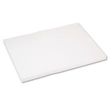 Medium Weight Tagboard, 18 x 24, White, 100/Pack1