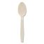 EarthChoice PSM Cutlery, Heavyweight, Spoon, 5.88", Tan, 1,000/Carton1