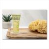 Conditioning Shampoo, Fresh Scent, 0.75 oz, 288/Carton2