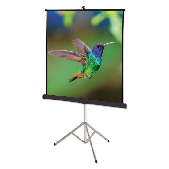 Portable Tripod Projection Screen, 60 x 60, White Matte Finish1