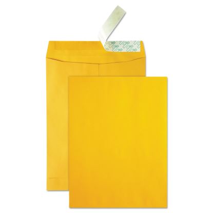 High Bulk Redi-Strip Catalog Envelope, #13 1/2, Cheese Blade Flap, Redi-Strip Adhesive Closure, 10 x 13, Brown Kraft, 250/CT1