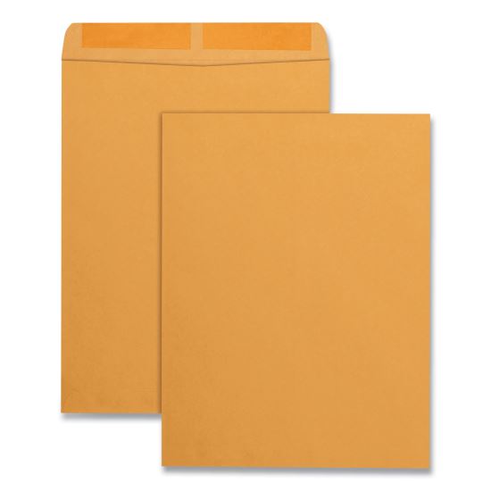 Catalog Envelope, #13 1/2, Square Flap, Gummed Closure, 10 x 13, Brown Kraft, 100/Box1