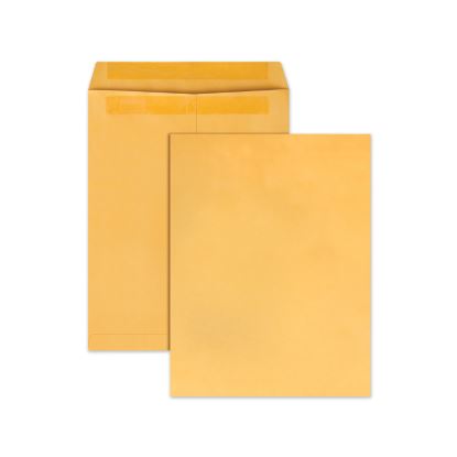 Redi-Seal Catalog Envelope, #13 1/2, Cheese Blade Flap, Redi-Seal Adhesive Closure, 10 x 13, Brown Kraft, 100/Box1
