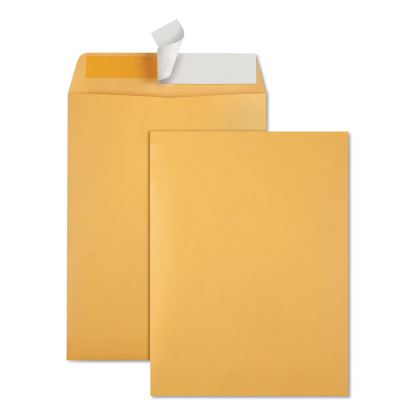 Redi-Strip Catalog Envelope, #10 1/2, Cheese Blade Flap, Redi-Strip Adhesive Closure, 9 x 12, Brown Kraft, 100/Box1